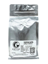 Load image into Gallery viewer, - The Coffee City

